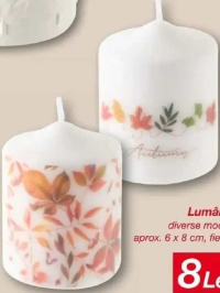 Autumn Lumânări diverse modele, aprox. 6 x 8 cm