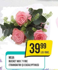 MEGA BUCHET MIX 7 FIRE (TRANDAFIRI ȘI EUCALYPTHUS)