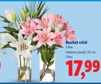 Buchet crini 3 fire înălțime plantă: 50 cm 1 buc.
