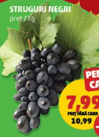 STRUGURI NEGRI pret/kg
