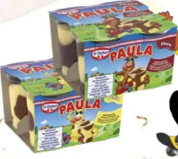 Budincă PAULA 4x125 g, cacao&vanilie/vanilie&ciocolată