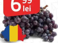 Struguri negri România per kg