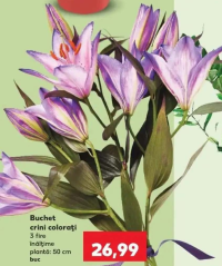 Buchet crini colorați 3 fire înălțime plantă: 50 cm