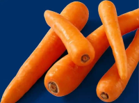 Morcovi per kg