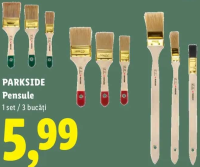 PARKSIDE Pensule 1 set / 3 bucăți