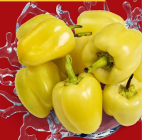 Ardei gras verde per kg