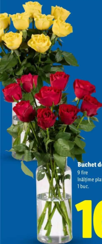 Buchet de trandafiri 9 fire 1 buc.
