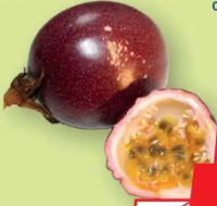 Fructul Pasiunii 125g