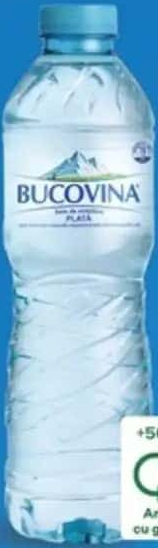 Bucovina Apă 0.5 L, plată