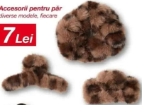 Accesorii pentru păr diverse modele