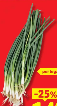Ceapă verde per legătură