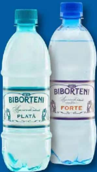 Biborțeni Apă minerală plată / carbogazoasă 0,5 L