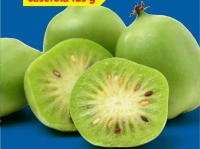 Baby Kiwi 125 g