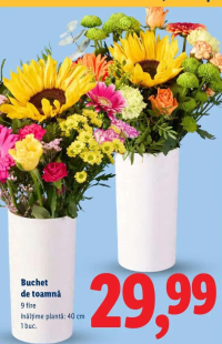Buchet de toamnă 9 fire 40 cm