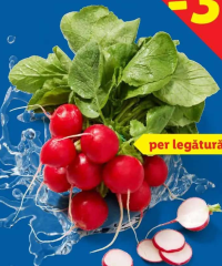Ridichi roșii per legătură