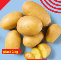 Cartofi pentru copt sau piure plasă 2 kg