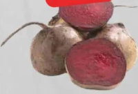 Sfeclă roșie România per kg