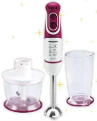Mixer vertical HEINNER HB-600BG