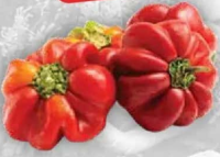 Gogoșari România per kg