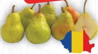 Pere România per kg