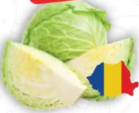Varză albă România per kg
