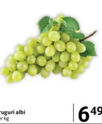 Struguri albi, per kg