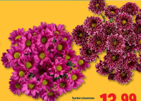 Buchet crizanteme 3 fire 1 buc.