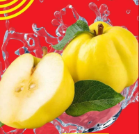 Gutui