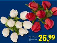 Buchet de lalele 7 fire