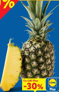 Ananas per kg