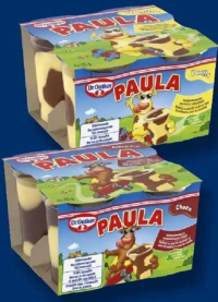 PAULA Budincă cu gust de vanilie și ciocolată / ciocolată și vanilie 4 x 125 g