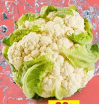 Conopidă per kg