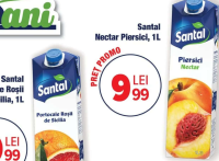 Santal Nectar Piersici, 1L