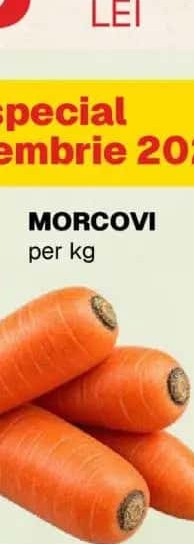 MORCOVI per kg