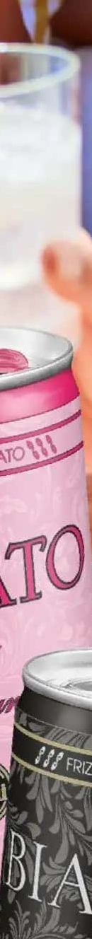 ALLINI Frizzante Rosato Cocktail aromatizat 0,2L