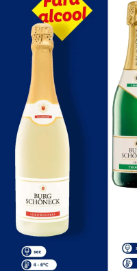 BURG SCHÖNECK Vin spumant alb / rose 0,75 l