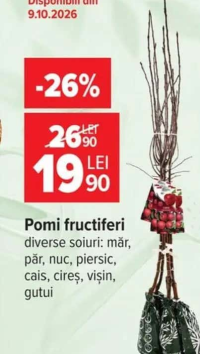 Pomi fructifere diverse soiuri: măr, păr, nuc, piersic, cais, cireș, vișin, gutui