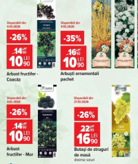 Arbuști ornamentali pachet