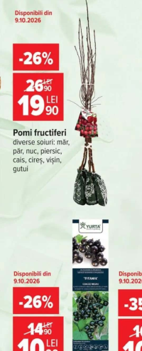 Pomi fructiferi la cutie mixt diverse soiuri