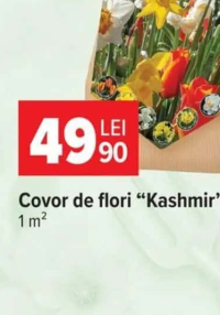 Covor de flori “Kashmir” 1 m²