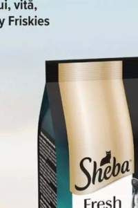 Gourmet Gold diverse sortimente hrană umedă pisici 85g