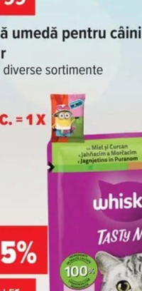 Purina One Adult somon hrană uscată pisici 800g