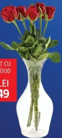 Buchet trandafiri 5 fire