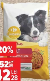Carrefour Companino Hrană uscată pentru câini 10 kg