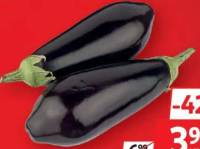 VINETE FILIERA