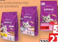 WHISKAS Hrană uscată pentru pisici diverse sortimente 1.4kg