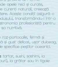 LIPTON Ceai plic diverse sortimente 20/25 plicuri