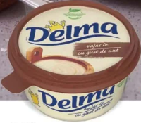DELMA Grăsime vegetală tartinabilă cu gust de unt 450 g