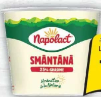 NAPOLACT SMÂNTÂNĂ, 25% GRĂSIME, 300G