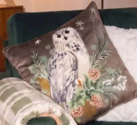 Pernă decorativă de Crăciun cu bufniță 45 x 45 cm